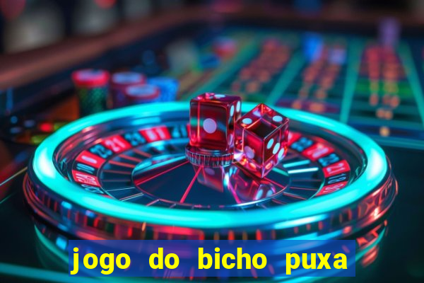 jogo do bicho puxa de dona maria